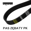 Pas pasek wielorowkowy 6 PK 700 BRIZZON 276K