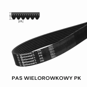 Pas pasek wielorowkowy 10 PK 1246 CONTINENTAL 491K
