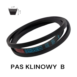 Pas pasek klinowy B/17 673 Li=716Lp Extra MEGADYNE 17x716