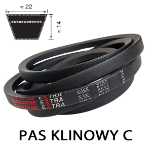 Pas pasek klinowy C/22 4572 Li=4634Lp Extra MEGADYNE 22x4634
