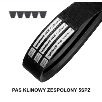 Pas pasek klinowy zespolony KB 5SPZ 1600 Lp OPTIBELT