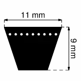 Paski klinowe uzębione AVX11