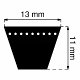 Paski klinowe uzębione AVX13